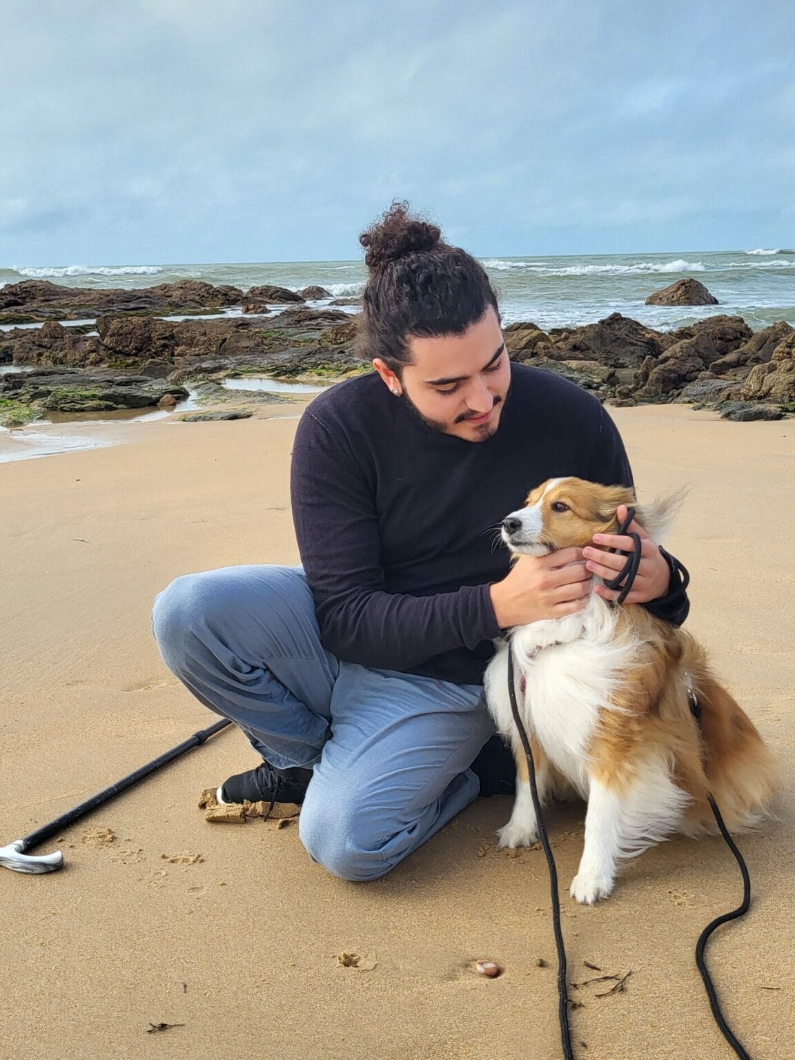 Garde d'animaux chien sur la plage