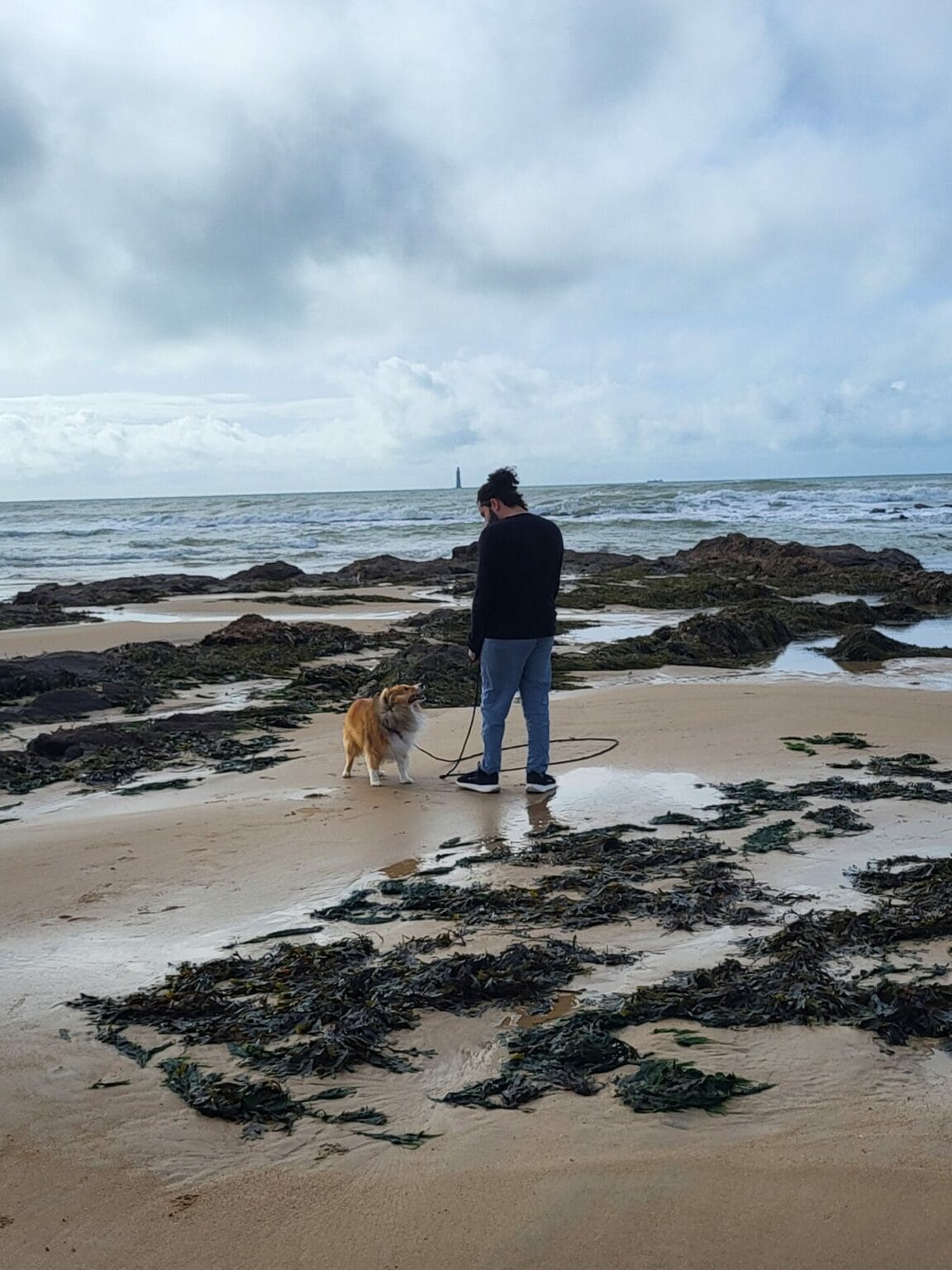 Solal Yago jouant avec un chien sur la plage lors d'une garde d'animaux